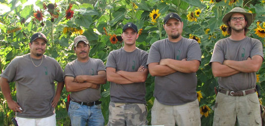 Hanna Landscaping and Design crew